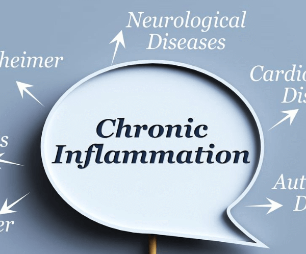 Anti Inflammatory Foods
