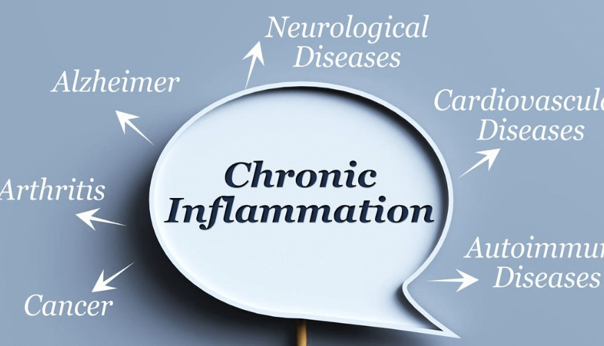 Anti Inflammatory Foods
