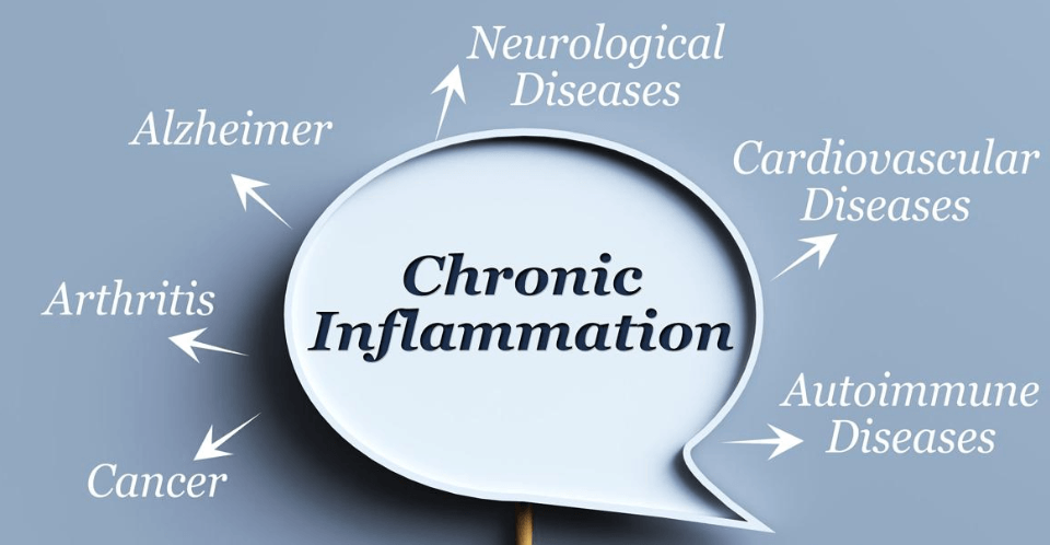 Anti Inflammatory Foods